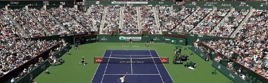 郑钦文遭斯瓦复仇总结落败原因，德雷珀三杀美将，梅总欢呼雀跃