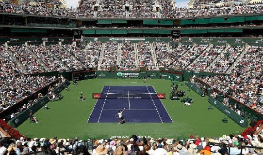 郑钦文遭斯瓦复仇总结落败原因，德雷珀三杀美将，梅总欢呼雀跃