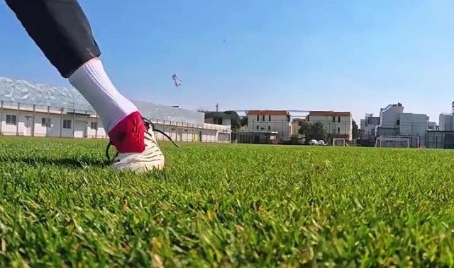 【新援官宣】No:23263会员谭凯元入列