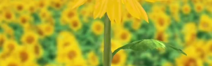 什么妖魔鬼怪？FPX发布整活视频：我系凤宝，我同意LPL22号开赛！