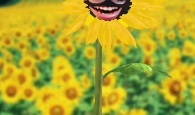 什么妖魔鬼怪？FPX发布整活视频：我系凤宝，我同意LPL22号开赛！